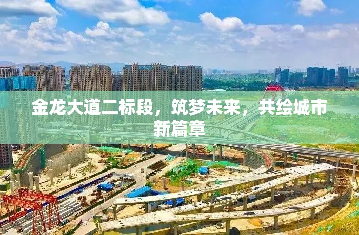 金龍大道二標段，筑夢未來，共繪城市新篇章