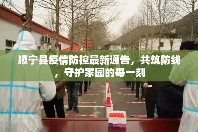 順寧縣疫情防控最新通告，共筑防線，守護家園的每一刻