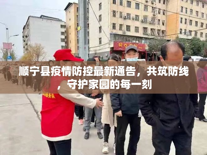 順寧縣疫情防控最新通告，共筑防線，守護家園的每一刻