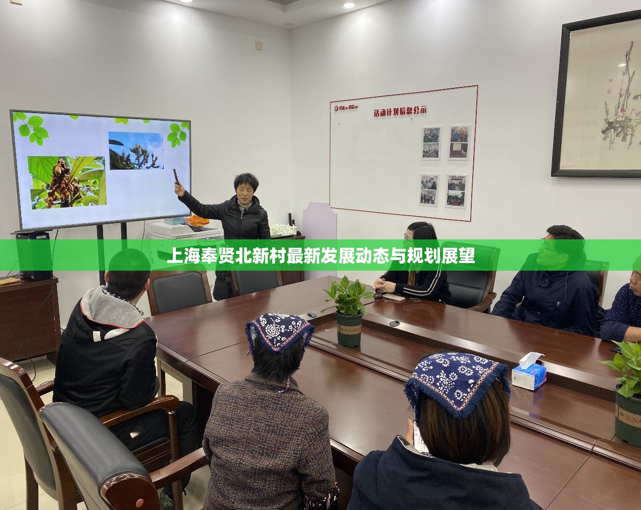 上海奉賢北新村最新發(fā)展動態(tài)與規(guī)劃展望