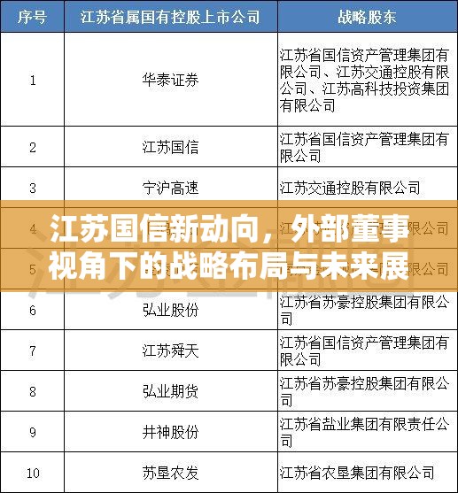 江蘇國信新動向，外部董事視角下的戰(zhàn)略布局與未來展望