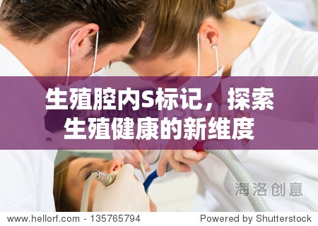 生殖腔內(nèi)S標(biāo)記，探索生殖健康的新維度