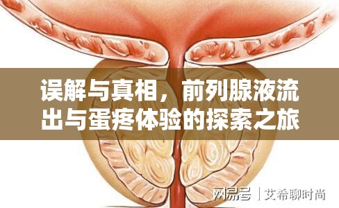 誤解與真相，前列腺液流出與蛋疼體驗(yàn)的探索之旅