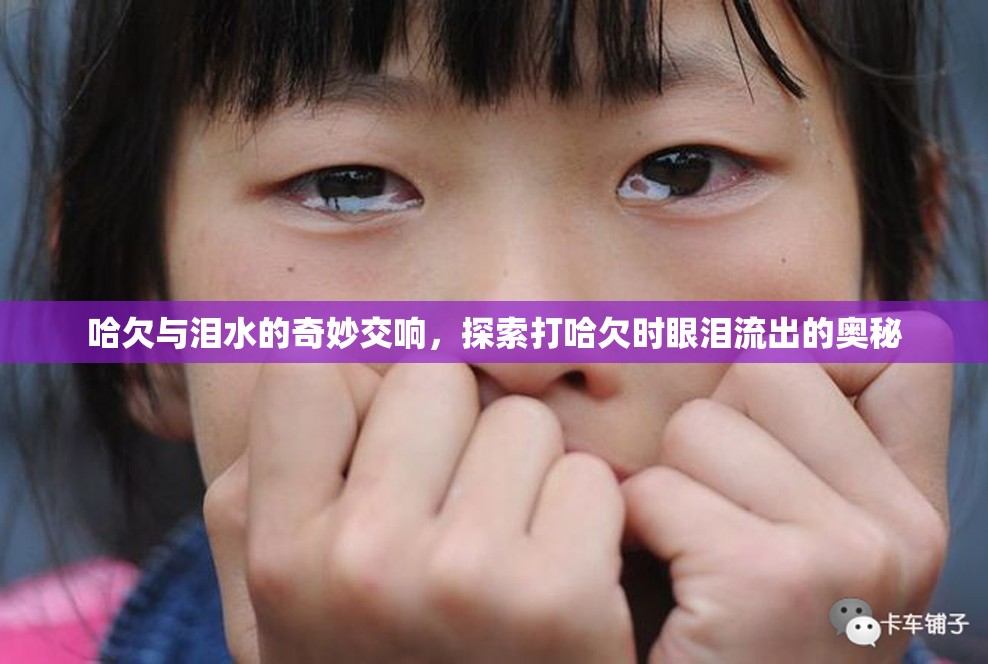 哈欠與淚水的奇妙交響，探索打哈欠時(shí)眼淚流出的奧秘
