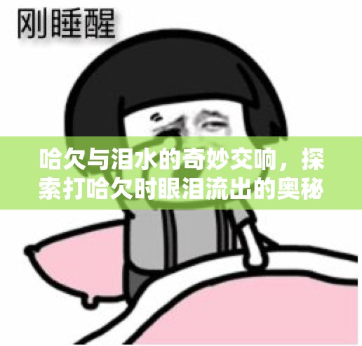 哈欠與淚水的奇妙交響，探索打哈欠時(shí)眼淚流出的奧秘