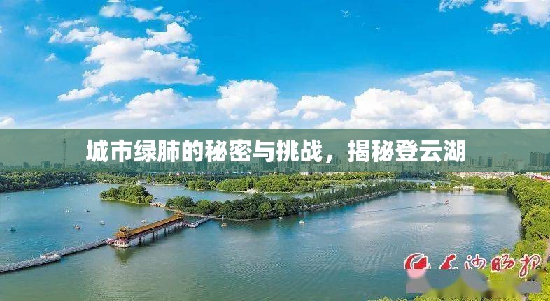 城市綠肺的秘密與挑戰(zhàn)，揭秘登云湖