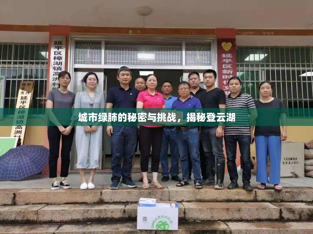 城市綠肺的秘密與挑戰(zhàn)，揭秘登云湖