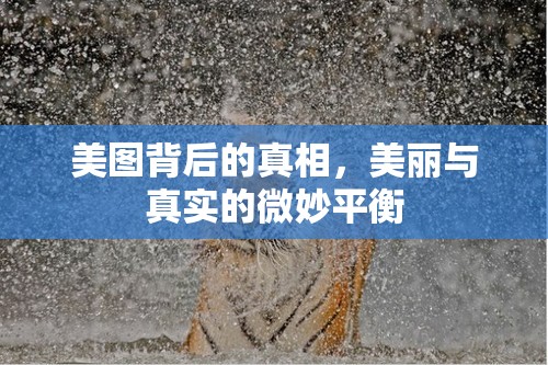 美圖背后的真相，美麗與真實的微妙平衡