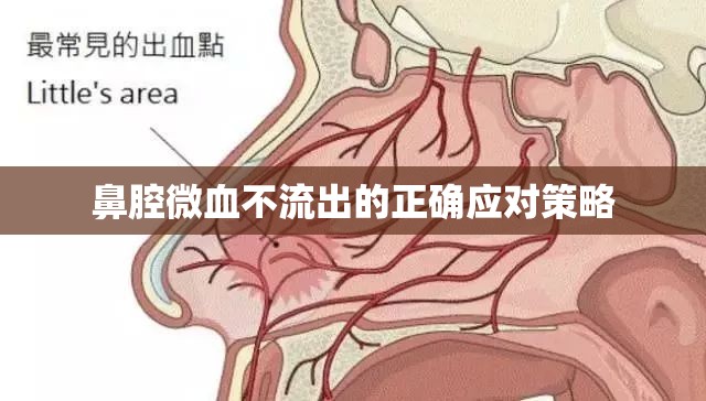 鼻腔微血不流出的正確應對策略