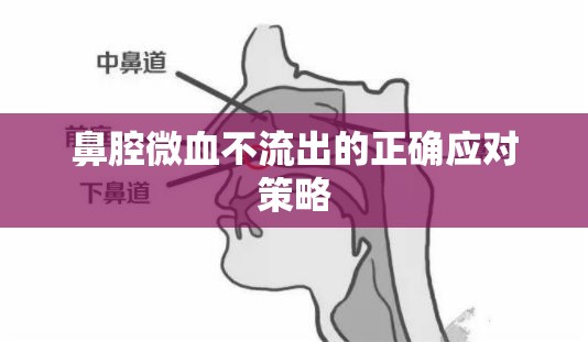 鼻腔微血不流出的正確應對策略
