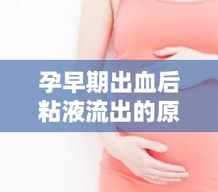 孕早期出血后粘液流出的原因探析，揭開孕期小插曲的神秘面紗