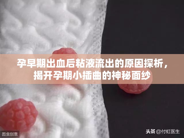 孕早期出血后粘液流出的原因探析，揭開孕期小插曲的神秘面紗