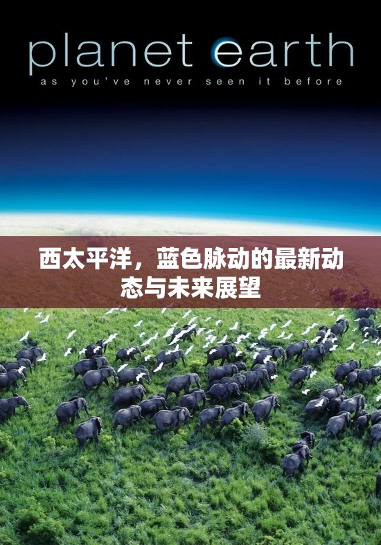 西太平洋，藍(lán)色脈動(dòng)的最新動(dòng)態(tài)與未來(lái)展望