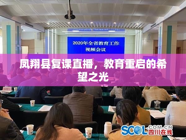 鳳翔縣復課直播，教育重啟的希望之光