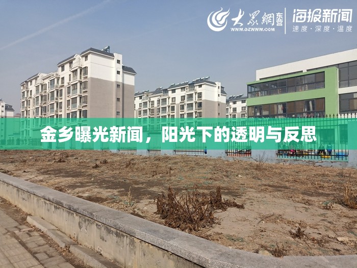 金鄉(xiāng)曝光新聞，陽光下的透明與反思