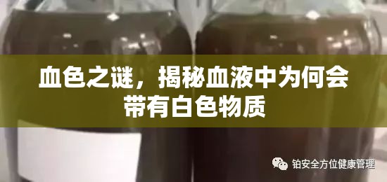 血色之謎，揭秘血液中為何會帶有白色物質