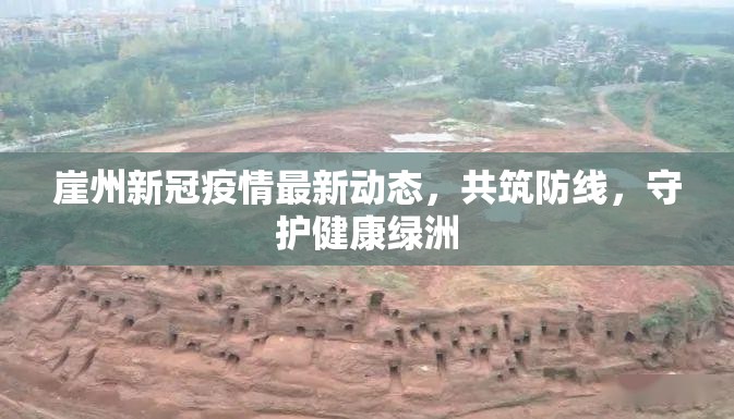 崖州新冠疫情最新動態(tài)，共筑防線，守護(hù)健康綠洲