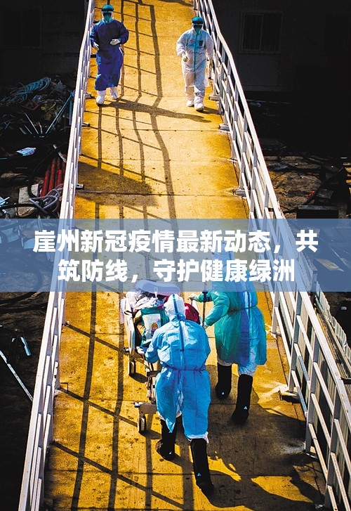 崖州新冠疫情最新動態(tài)，共筑防線，守護(hù)健康綠洲