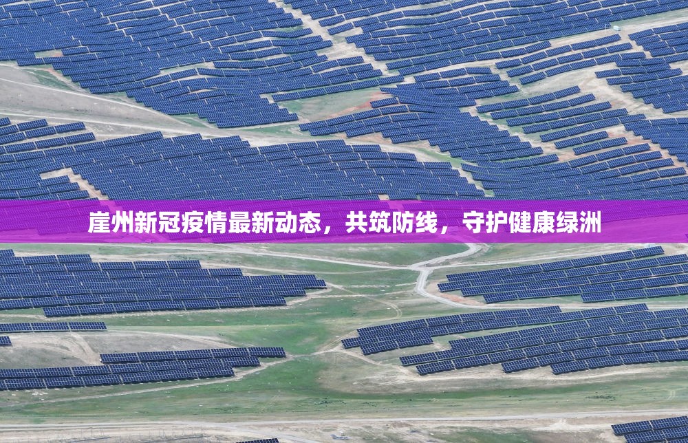 崖州新冠疫情最新動態(tài)，共筑防線，守護(hù)健康綠洲