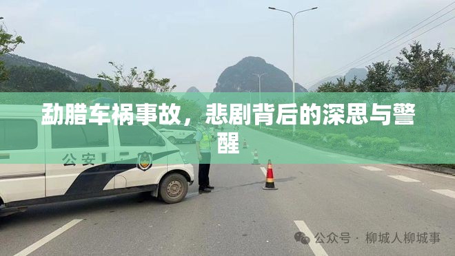 勐臘車禍?zhǔn)鹿?，悲劇背后的深思與警醒