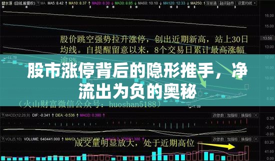 股市漲停背后的隱形推手，凈流出為負的奧秘
