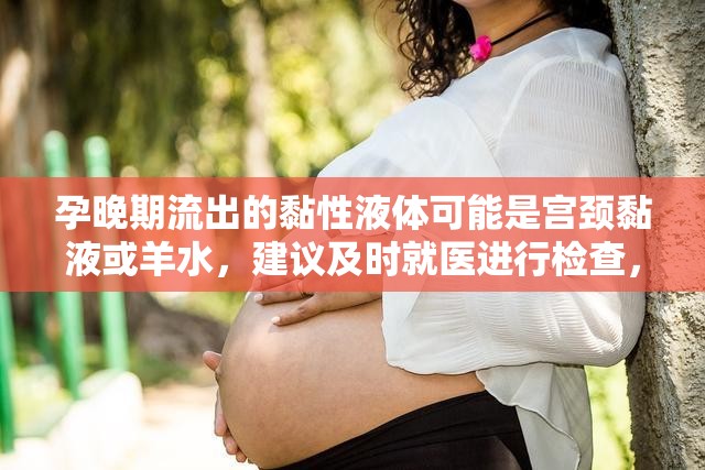 孕晚期流出的黏性液體可能是宮頸黏液或羊水，建議及時(shí)就醫(yī)進(jìn)行檢查，以確定是否為羊水破裂或?qū)m頸黏液栓脫落等異常情況。