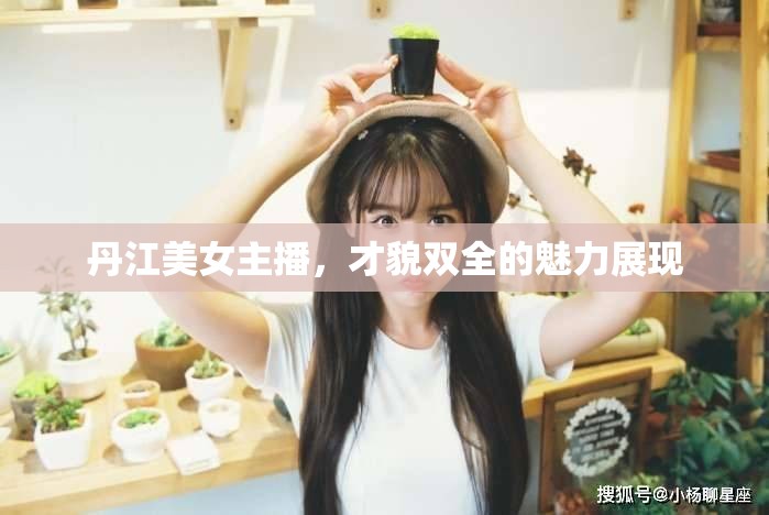 丹江美女主播，才貌雙全的魅力展現(xiàn)