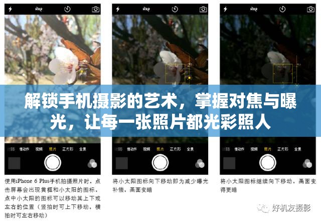 解鎖手機(jī)攝影的藝術(shù)，掌握對(duì)焦與曝光，讓每一張照片都光彩照人