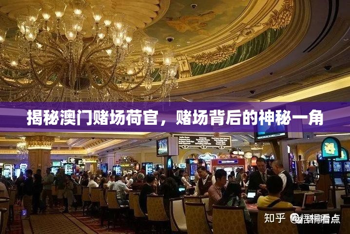 揭秘澳門賭場(chǎng)荷官，賭場(chǎng)背后的神秘一角