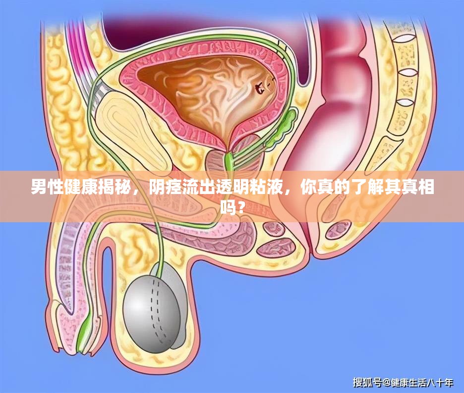 男性健康揭秘，陰痙流出透明粘液，你真的了解其真相嗎？