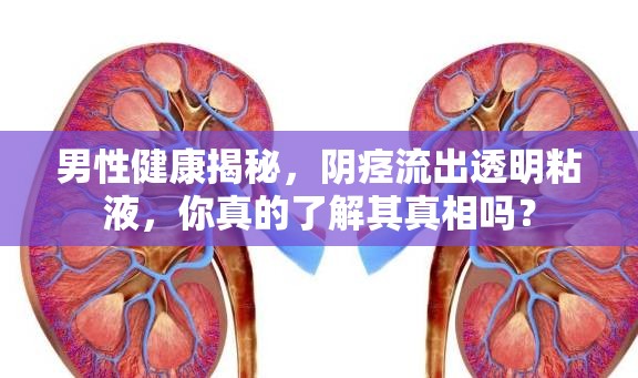 男性健康揭秘，陰痙流出透明粘液，你真的了解其真相嗎？