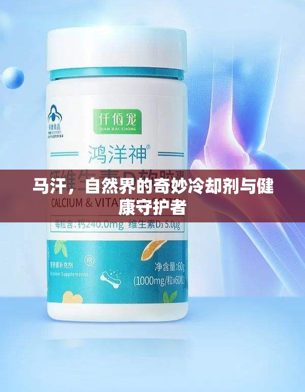 馬汗，自然界的奇妙冷卻劑與健康守護者