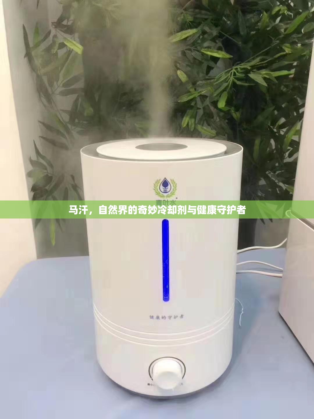 馬汗，自然界的奇妙冷卻劑與健康守護者