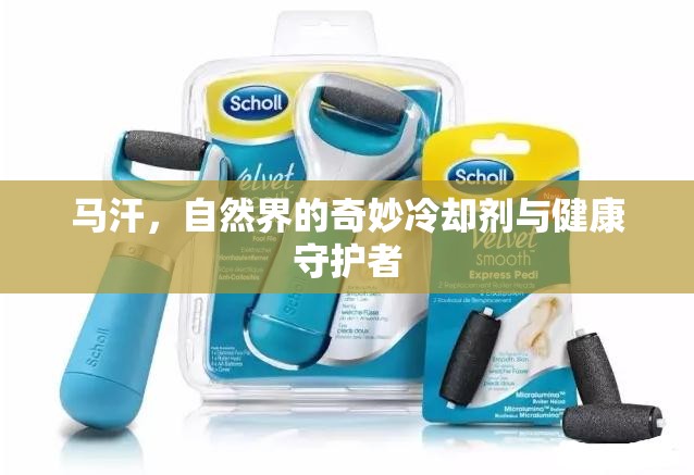 馬汗，自然界的奇妙冷卻劑與健康守護者