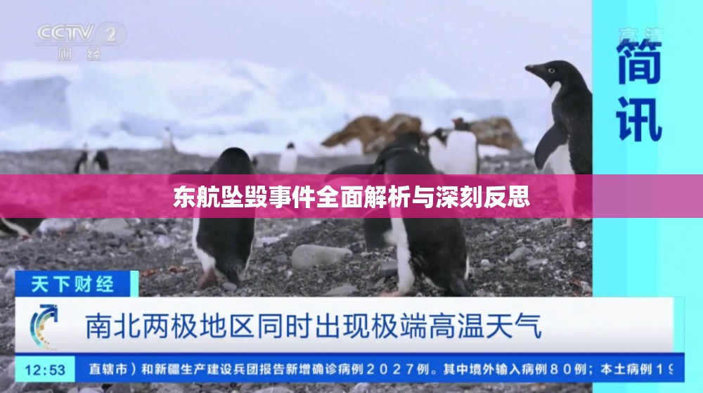 東航墜毀事件全面解析與深刻反思