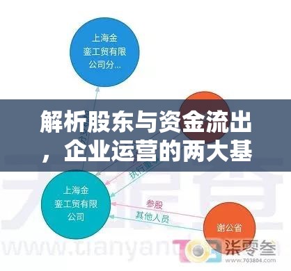 解析股東與資金流出，企業(yè)運營的兩大基石深度剖析