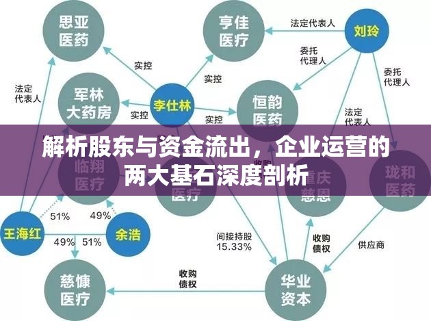 解析股東與資金流出，企業(yè)運營的兩大基石深度剖析