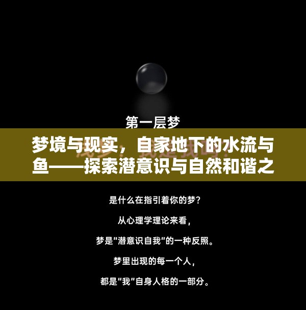 夢境與現(xiàn)實，自家地下的水流與魚——探索潛意識與自然和諧之謎