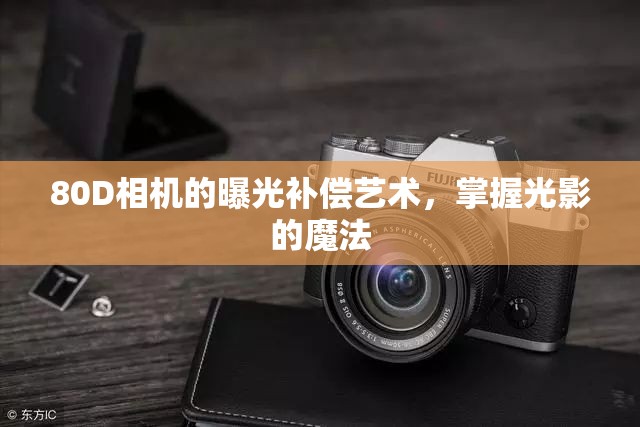 80D相機的曝光補償藝術(shù)，掌握光影的魔法