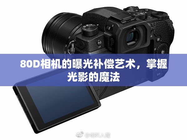 80D相機的曝光補償藝術(shù)，掌握光影的魔法