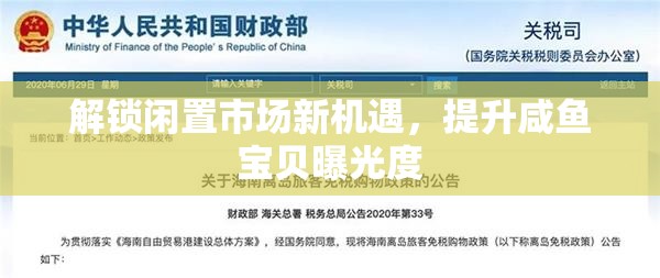 解鎖閑置市場新機遇，提升咸魚寶貝曝光度