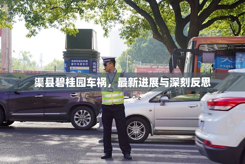 渠縣碧桂園車禍，最新進(jìn)展與深刻反思