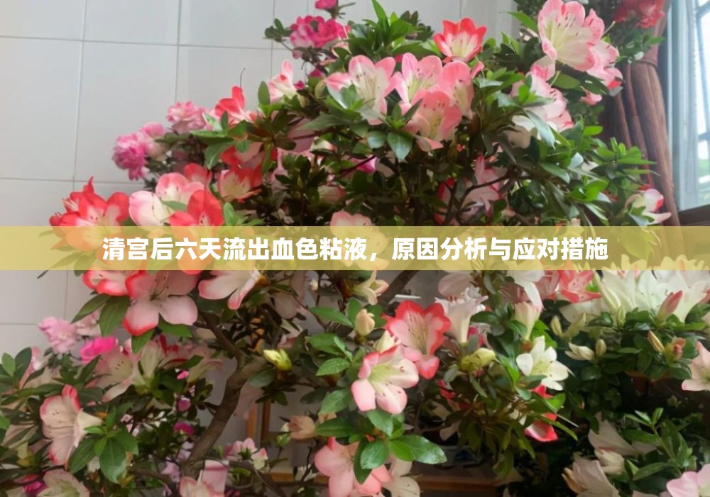 清宮后六天流出血色粘液，原因分析與應對措施