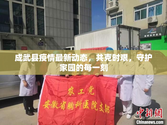成武縣疫情最新動態(tài)，共克時艱，守護(hù)家園的每一刻