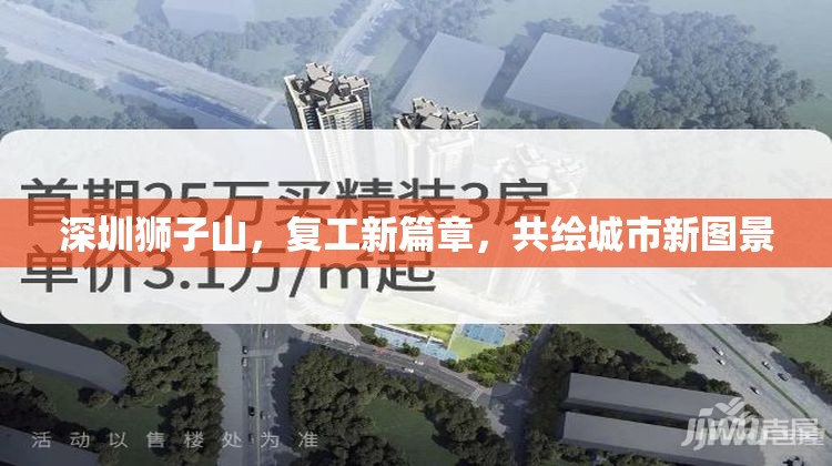 深圳獅子山，復(fù)工新篇章，共繪城市新圖景