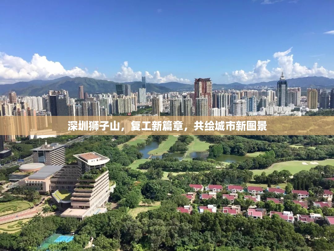 深圳獅子山，復(fù)工新篇章，共繪城市新圖景