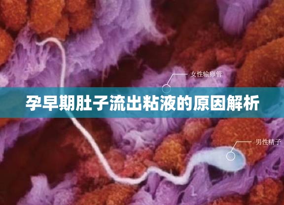 孕早期肚子流出粘液的原因解析