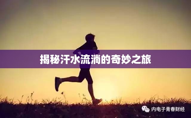 揭秘汗水流淌的奇妙之旅