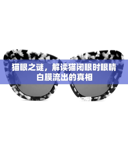 貓眼之謎，解讀貓閉眼時眼睛白膜流出的真相