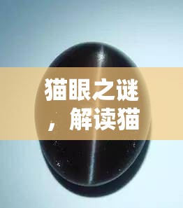 貓眼之謎，解讀貓閉眼時眼睛白膜流出的真相